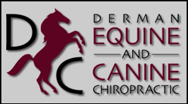 New Jersey Animal Chiropractor:: Dr. Ray Derman